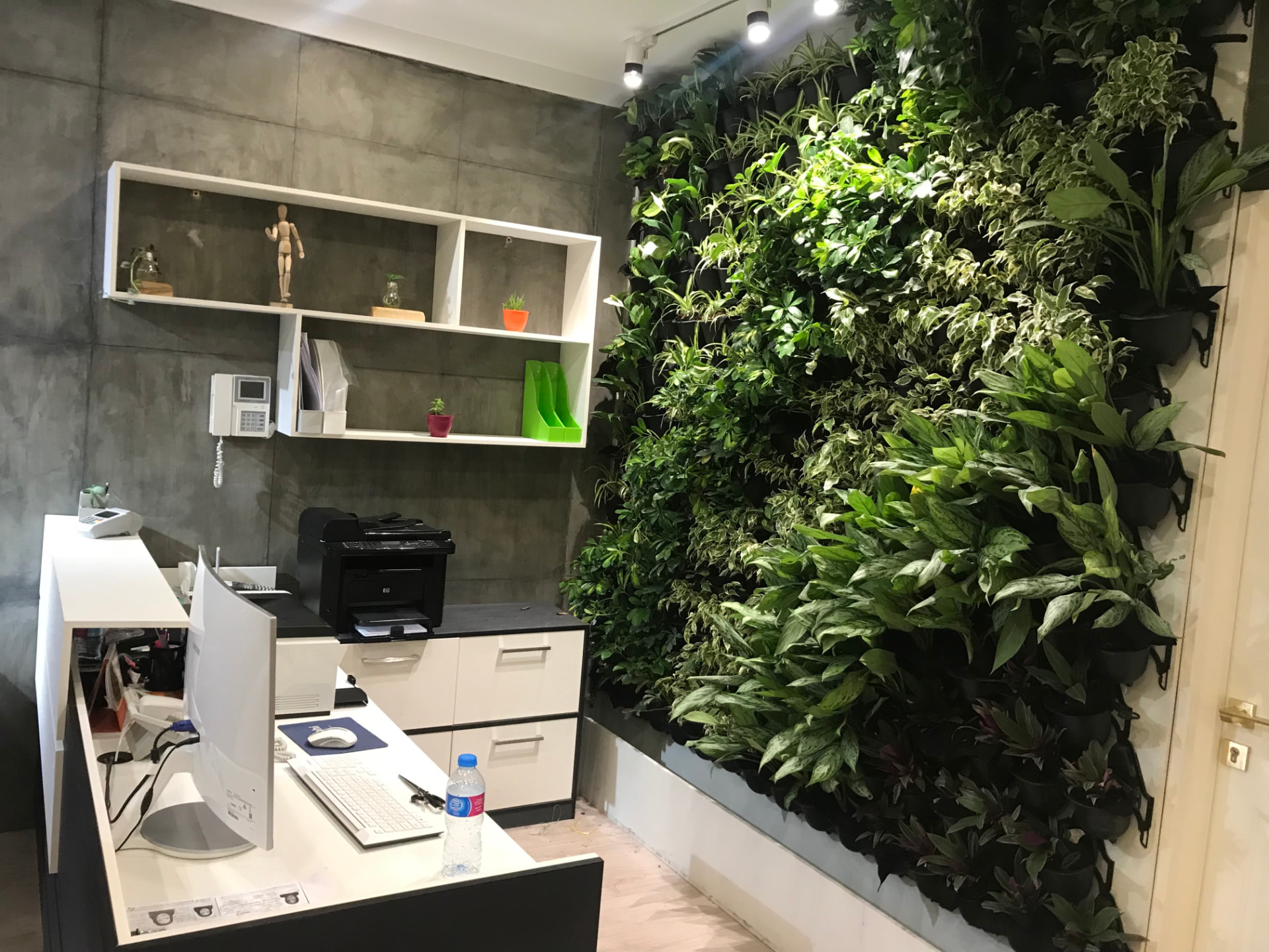 دیوار سبز دفتر مهندس شیرازی در فضای پذیرش