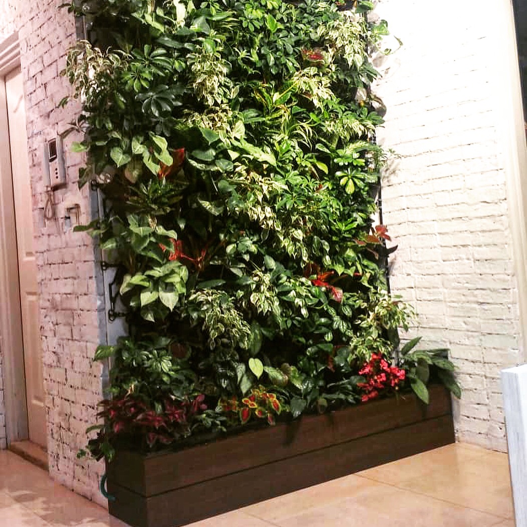 Planted green wall with a timber planter at Engineer Manzouri's office